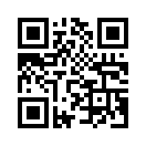 QR CODE 133