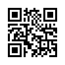 QR CODE 31