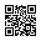 QR CODE 31