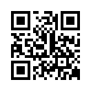 QR CODE 31