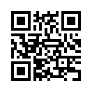 QR CODE 261