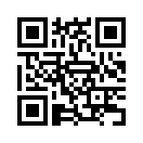QR CODE 309