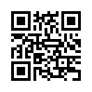 QR CODE 317