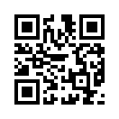 QR CODE 317