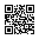 QR CODE 81