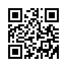 QR CODE 344