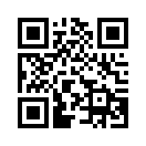 QR CODE 394