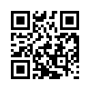 QR CODE 1238