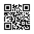 QR CODE 516