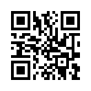 QR CODE 517