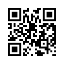 QR CODE 734