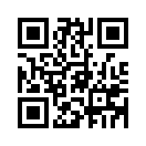 QR CODE 766