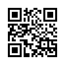 QR CODE 913