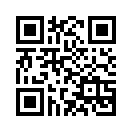 QR CODE 993