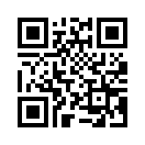 QR CODE 31