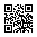QR CODE 31