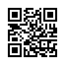 QR CODE 110