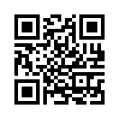 QR CODE 494