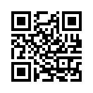 QR CODE 501