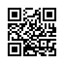 QR CODE 528