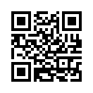 QR CODE 913