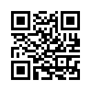 QR CODE 993