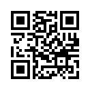 QR CODE 110