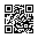 QR CODE 31