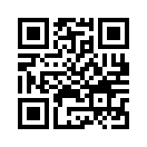 QR CODE 42