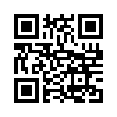 QR CODE 336