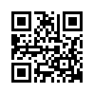 QR CODE 446