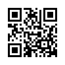 QR CODE 597