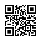 QR CODE 737