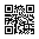 QR CODE 1238