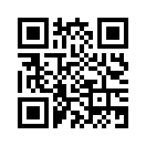 QR CODE 1333