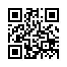 QR CODE 1981