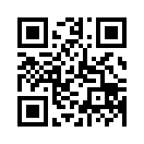 QR CODE 258