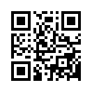 QR CODE 305