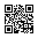 QR CODE 317