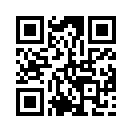 QR CODE 344