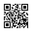 QR CODE 394