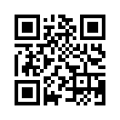 QR CODE 734