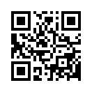 QR CODE 868