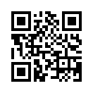 QR CODE 913