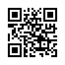 QR CODE 868
