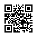 QR CODE 913