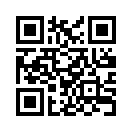QR CODE 53