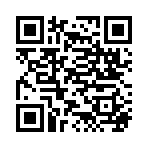 QR CODE 133