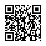 QR CODE 228