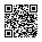 QR CODE 31